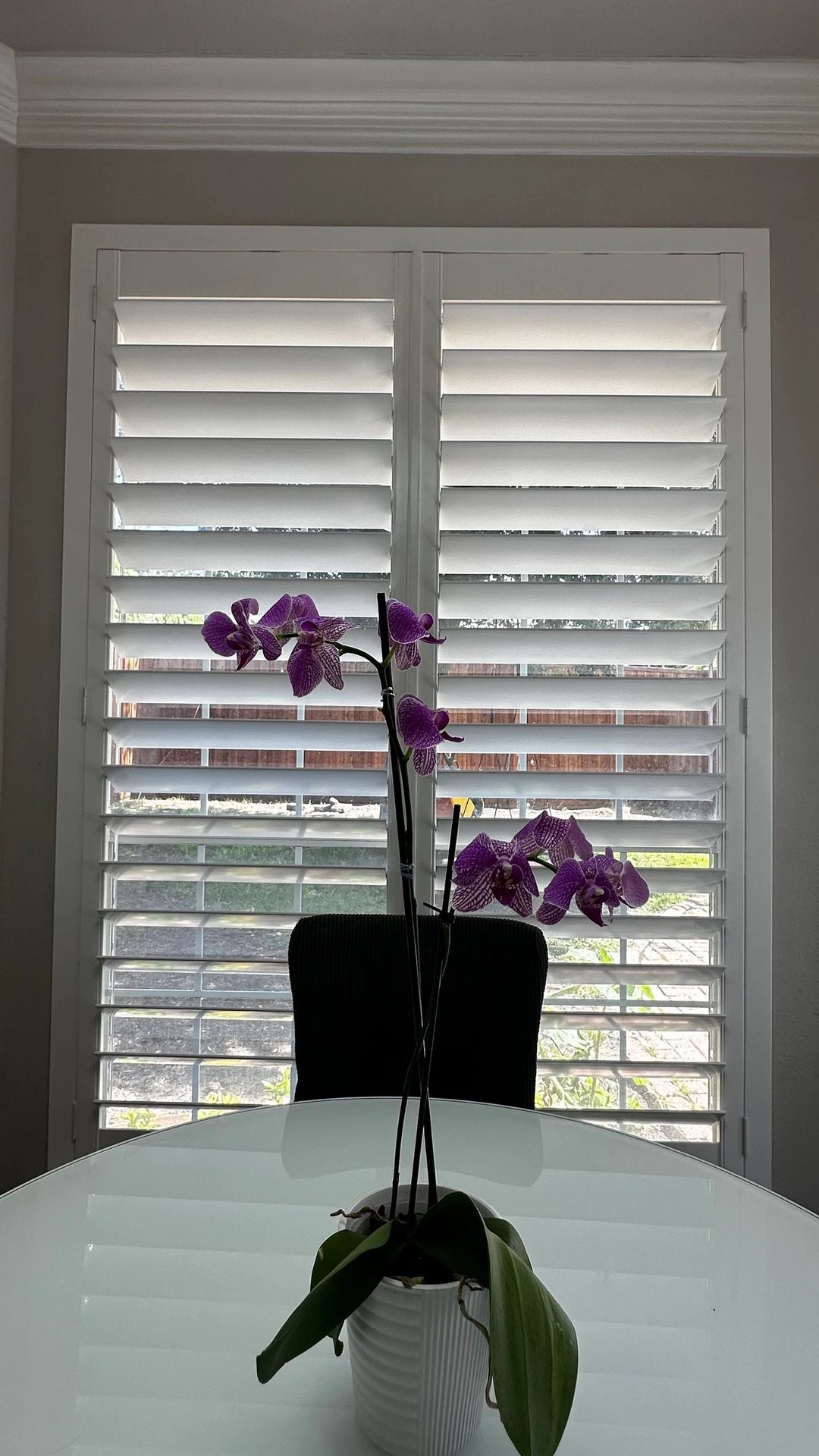 Narrow custom shutter panel with an orchid on the windowsill